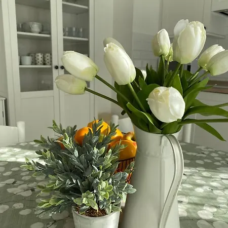 Zdenka Apartment *